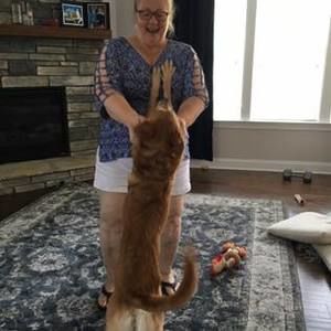 Meet your Posher, Molly